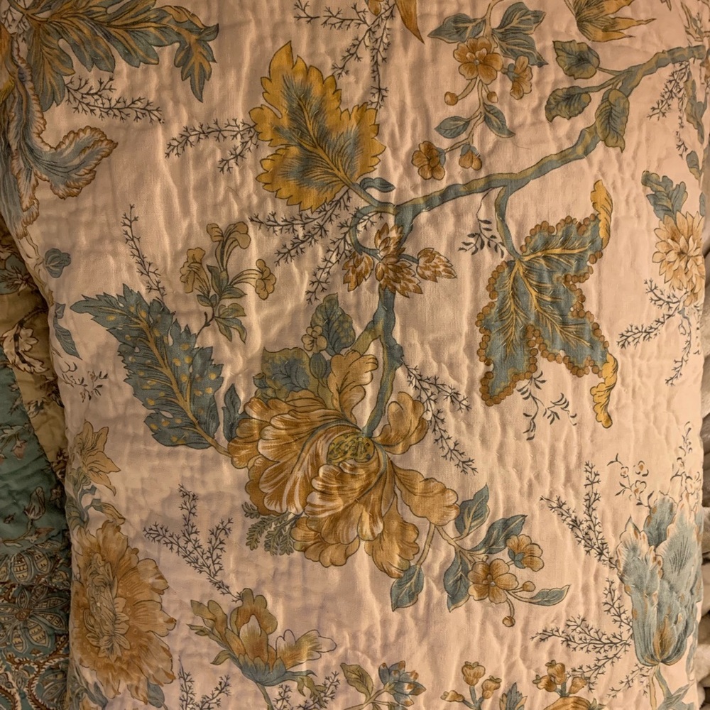 Set of 2 pottery barn shams